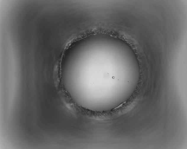 X0000113540144200909250934