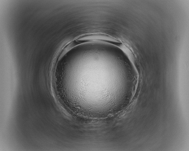 X0000113540145200909250933