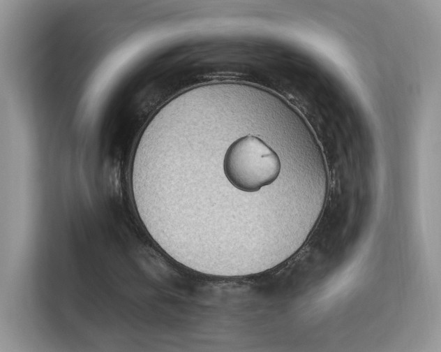 X0000113540146200909250933