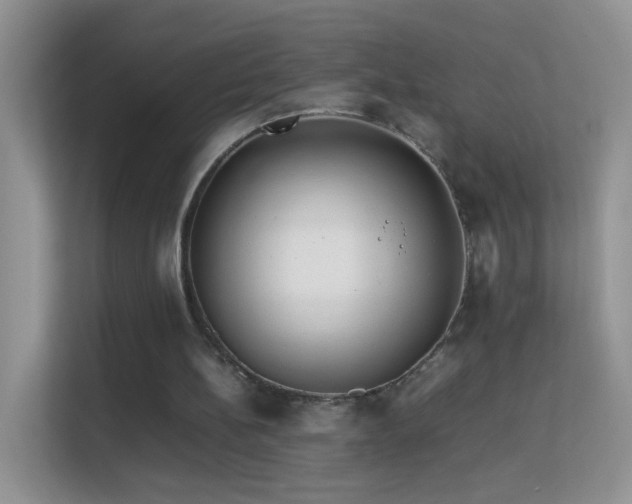 X0000113540148200909250933