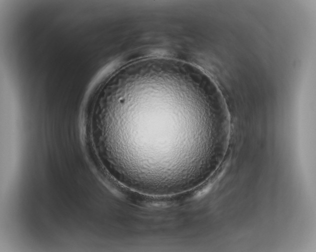 X0000113540149200909250933