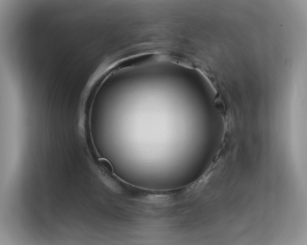 X0000113540150200909250933