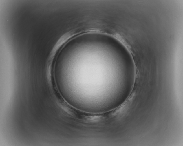 X0000113540151200909250933