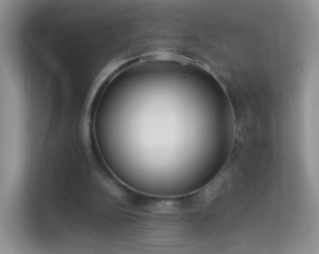 X0000113540152200909250933