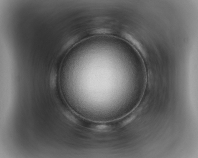 X0000113540153200909250933