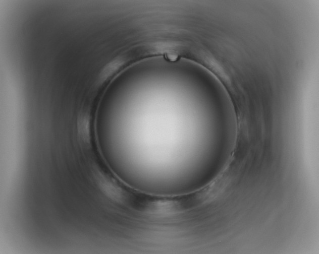 X0000113540154200909250933