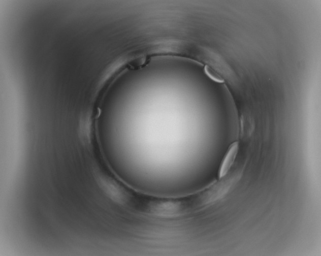 X0000113540156200909250933