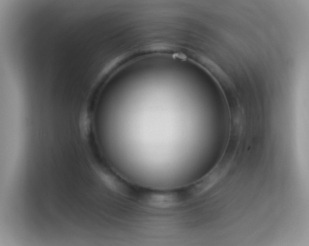 X0000113540160200909250933