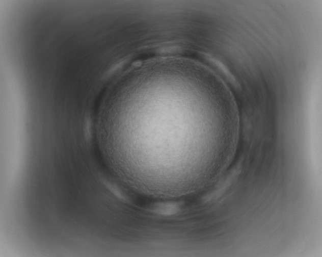 X0000113540161200909250933