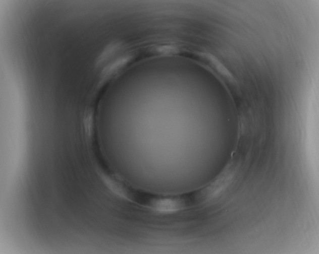 X0000113540163200909250933