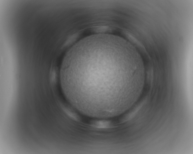 X0000113540165200909250933