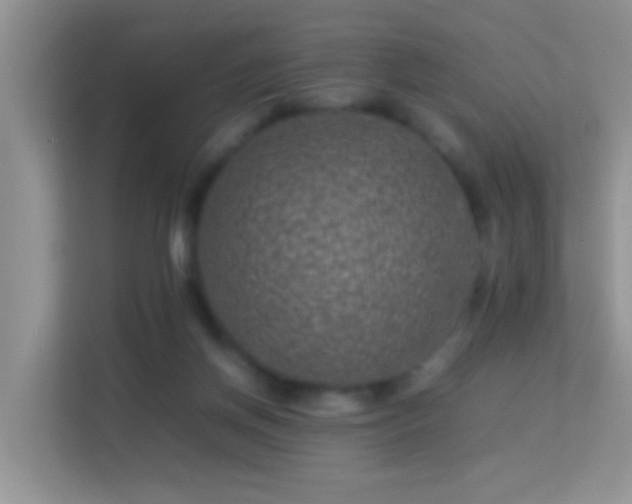 X0000113540166200909250933