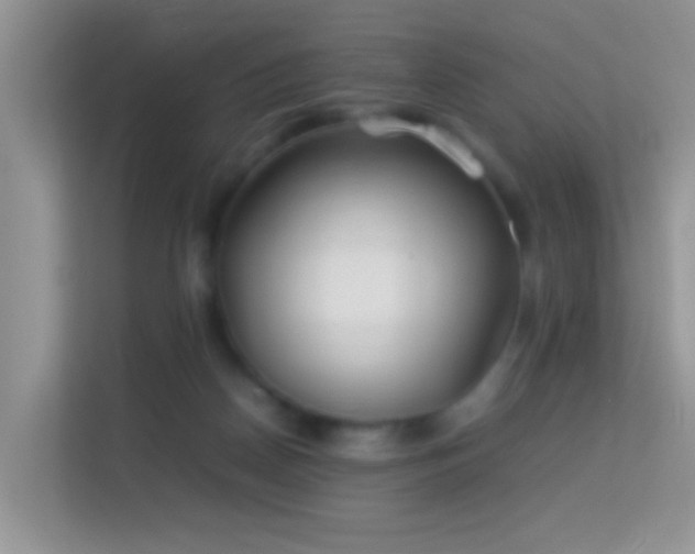 X0000113540170200909250933