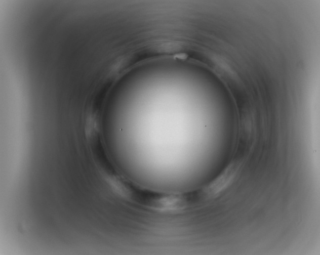 X0000113540172200909250933