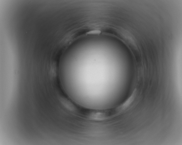 X0000113540174200909250933