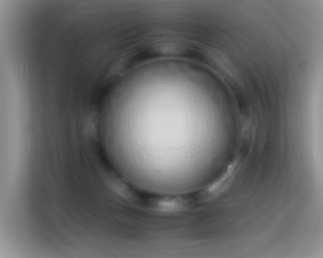 X0000113540175200909250934