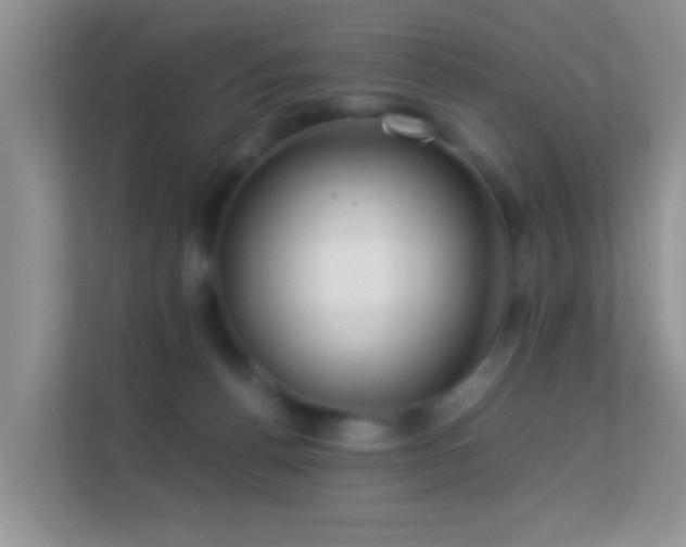 X0000113540176200909250934