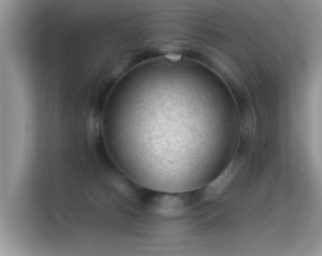 X0000113540180200909250934