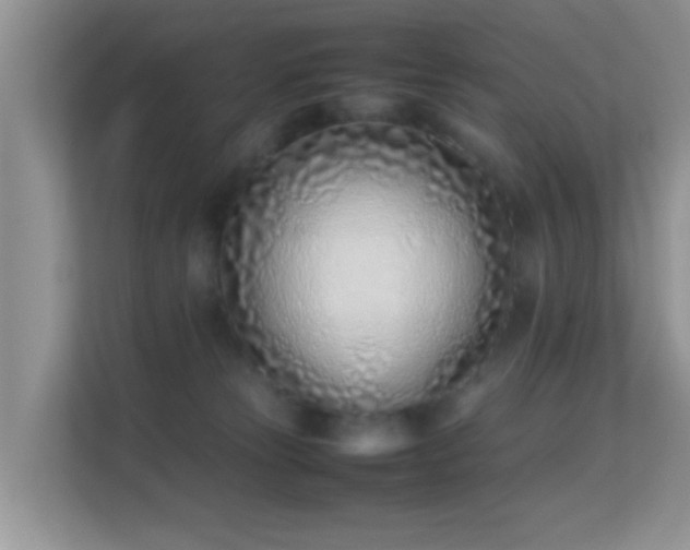 X0000113540181200909250934