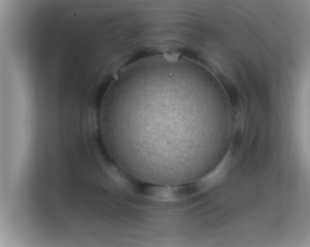 X0000113540182200909250934