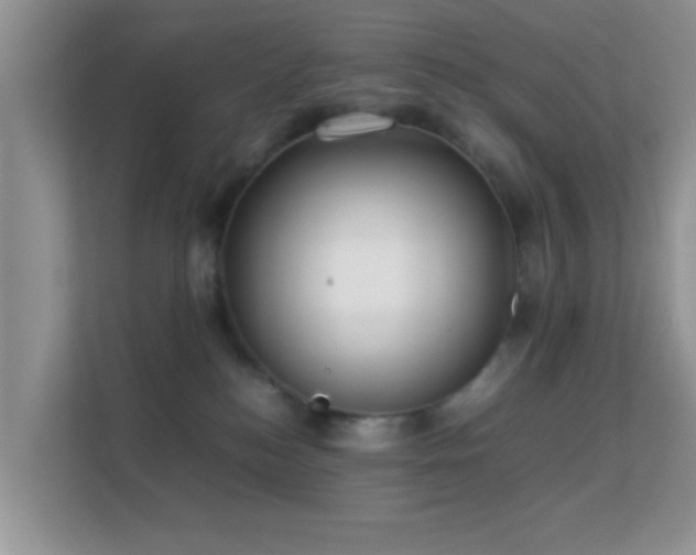 X0000113540184200909250934