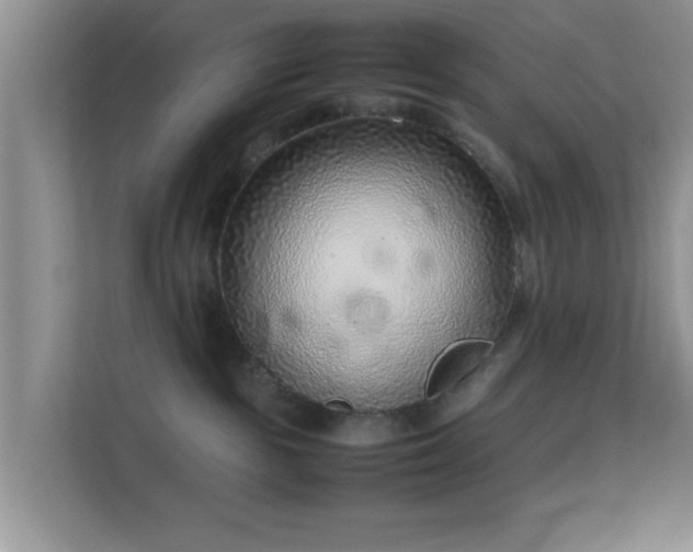 X0000113540189200909250934