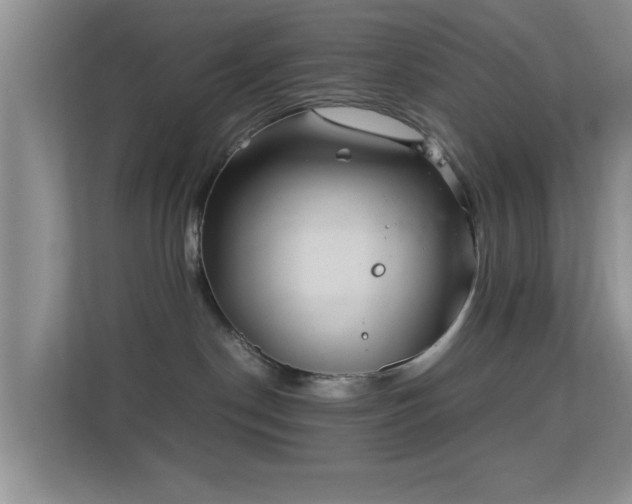 X0000113540190200909250934