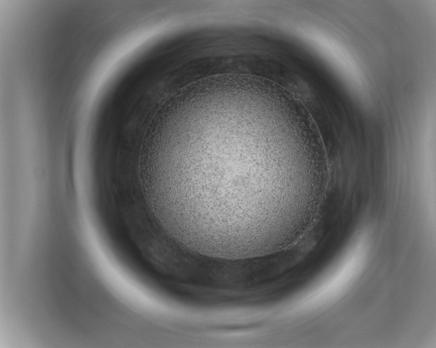 X0000113540191200909250934