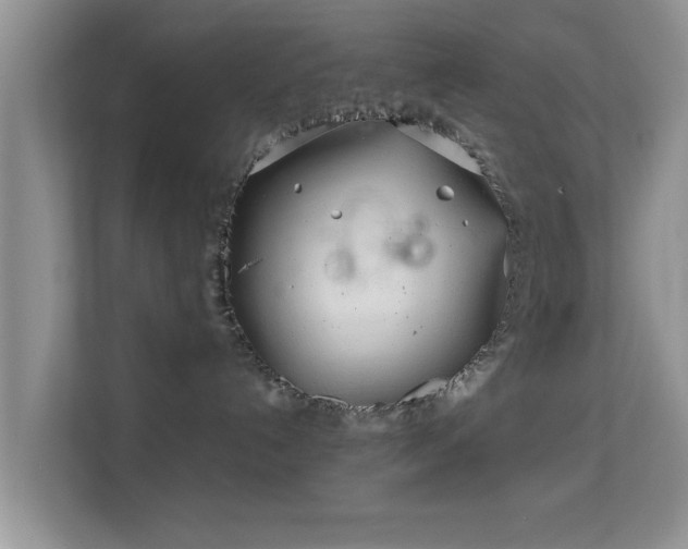 X0000113540192200909250934