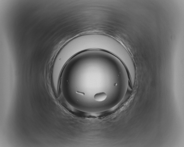 X0000113540193200909250933