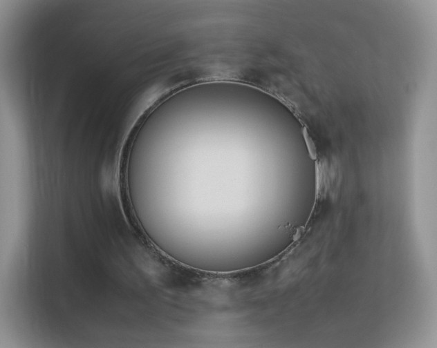 X0000113540195200909250933