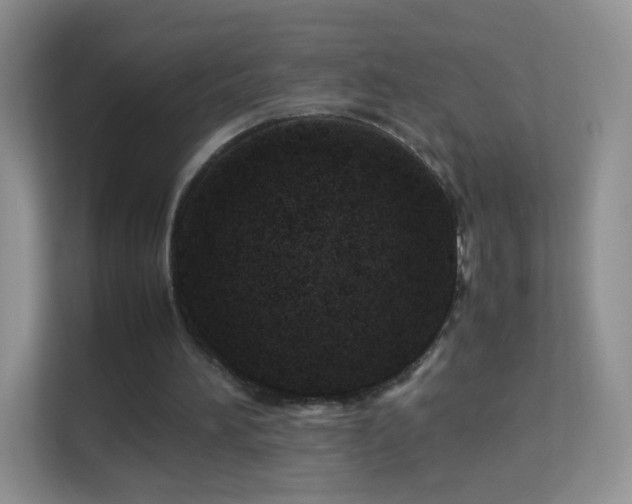 X0000113540196200909250933