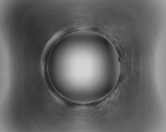 X0000113540197200909250933