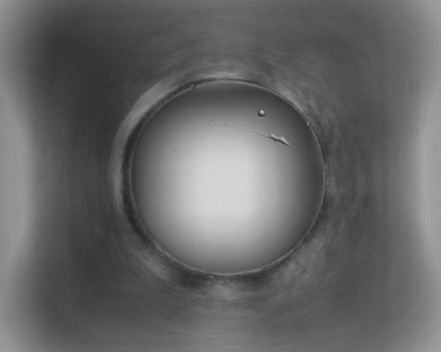 X0000113540199200909250933