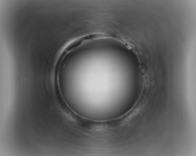 X0000113540200200909250933