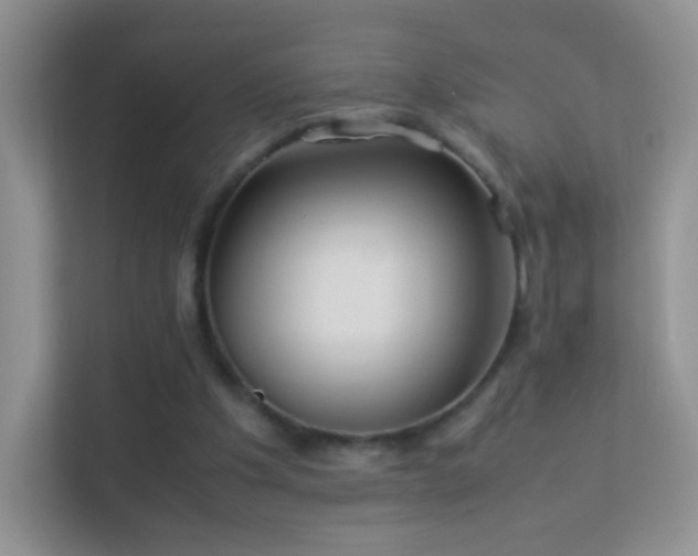 X0000113540201200909250933