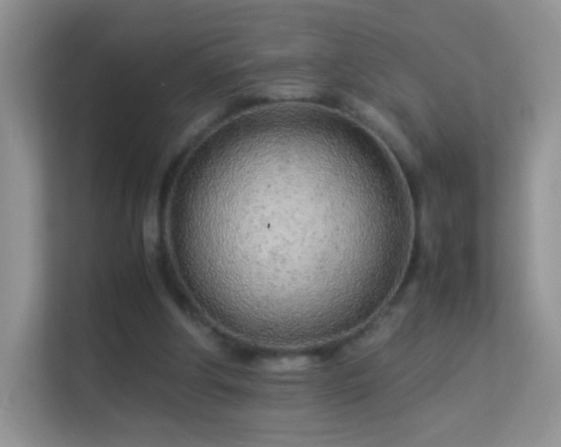 X0000113540202200909250933