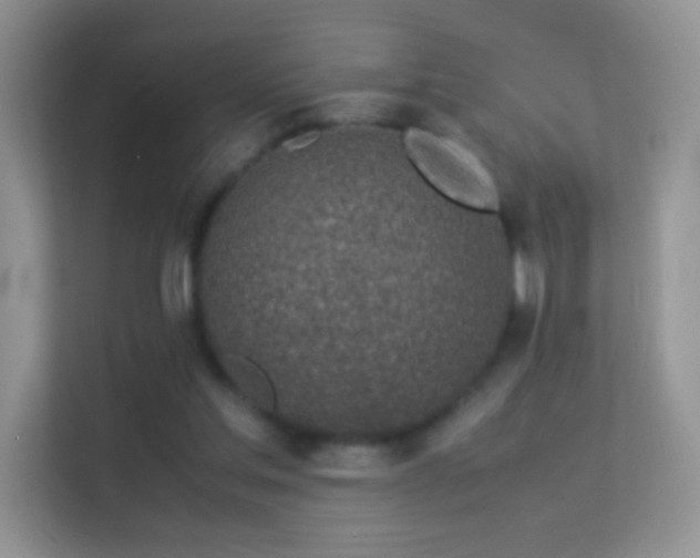 X0000113540205200909250933