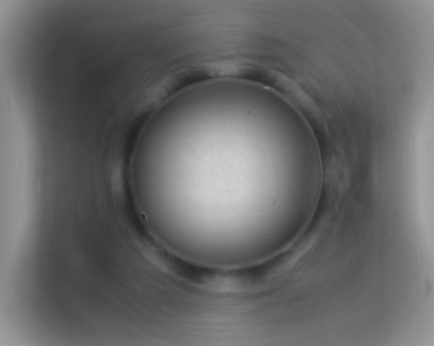 X0000113540209200909250933