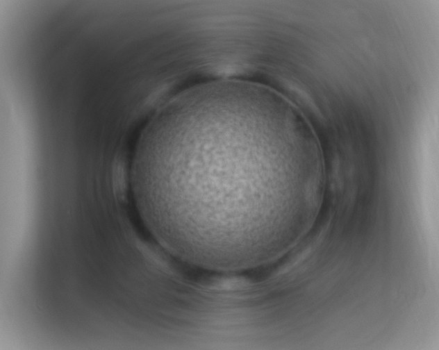 X0000113540210200909250933