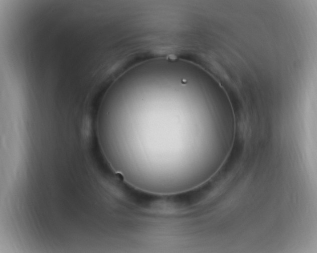 X0000113540211200909250933