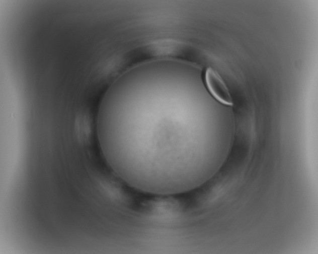 X0000113540215200909250933