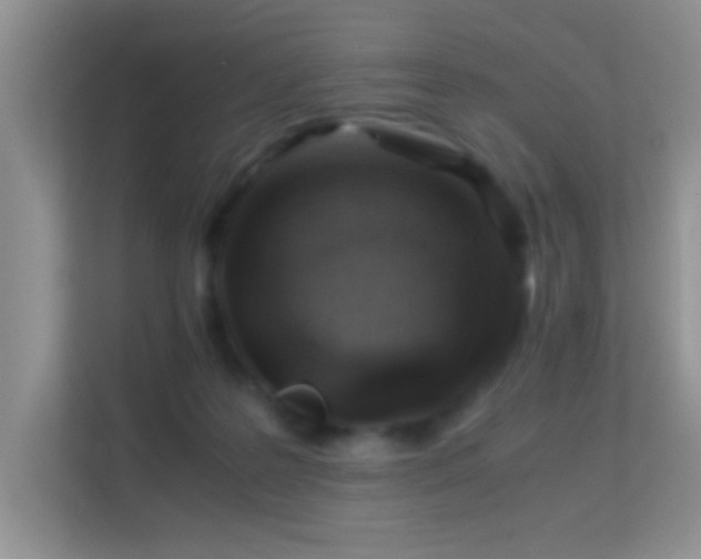 X0000113540219200909250933