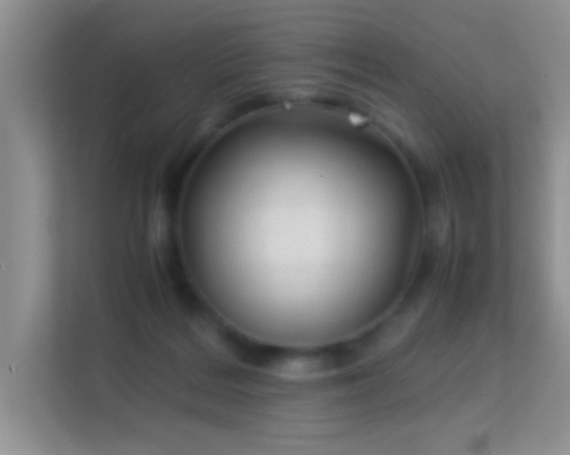 X0000113540220200909250933