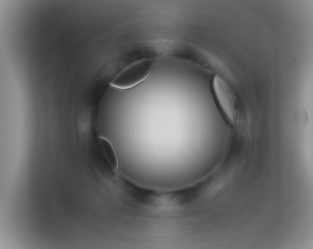 X0000113540221200909250933