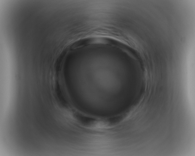 X0000113540223200909250933