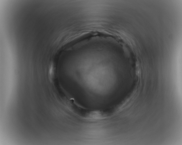 X0000113540227200909250933