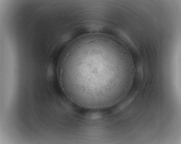 X0000113540228200909250933