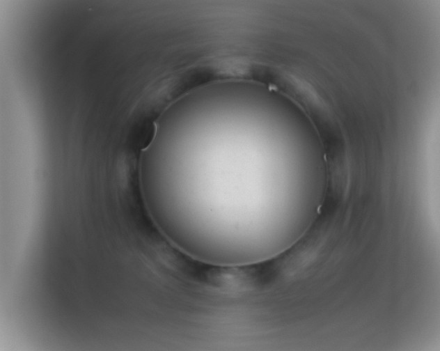 X0000113540229200909250933