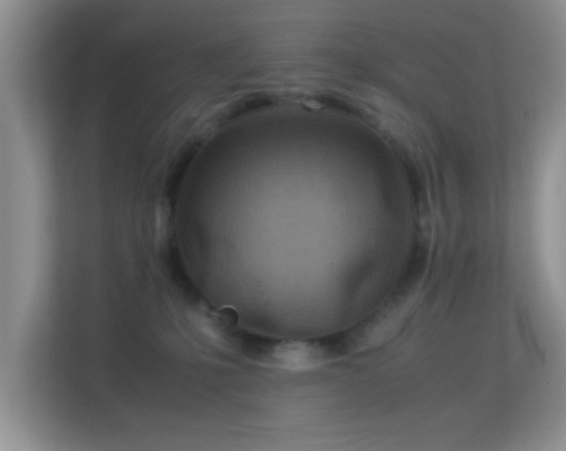 X0000113540231200909250933